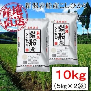【10kg】新潟県岩船産 コシヒカリ 令和5年産