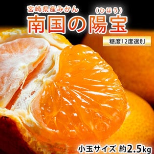 【約2.5kg/糖度12度以上選別 】宮崎県産 南国の陽宝（ひほう）みかん 小玉サイズ