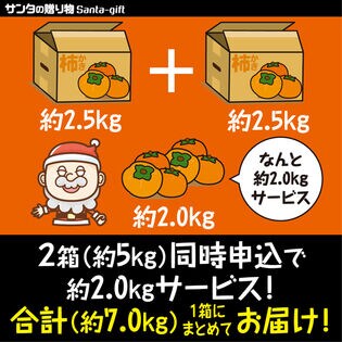 香川県産　早秋柿　家庭用超特大玉10個入り×2箱