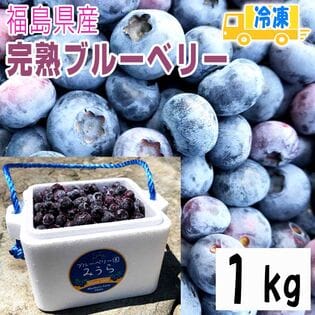 【1kg】福島県産ブルーベリー 減農薬・無化学肥料栽培・大粒【冷凍】