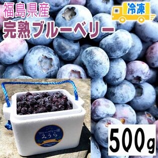 【500g】福島県産ブルーベリー 減農薬・無化学肥料栽培・大粒【冷凍】