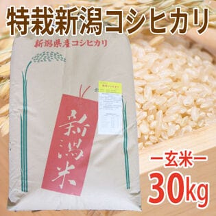 【30kg (30kg×1袋)】令和5年産  玄米　特別栽培米新潟県阿賀野産コシヒカリ