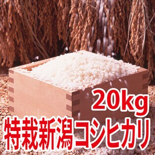 20kg (5kg×4袋)】令和5年産 新米 特別栽培米新潟県阿賀野産コシヒカリ