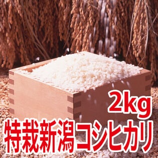 【2kg×1袋】令和5年産  特別栽培米新潟県阿賀野産コシヒカリ