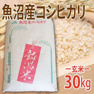 30kg (30kg×1袋)】令和5年産 玄米 魚沼十日町産コシヒカリを税込・送料