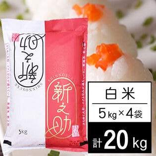 【計20kg／5kg×4袋】令和5年産 新潟県中越産 新之助 白米