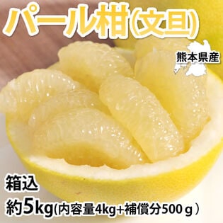 【箱込約5kg】熊本県産 パール柑（傷あり、不揃い、ご家庭用）
