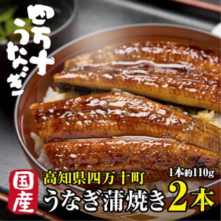 【2本(約110g×2本)】高知県産 高級うなぎ蒲焼 日本最後の清流が育んだ絶品うなぎ