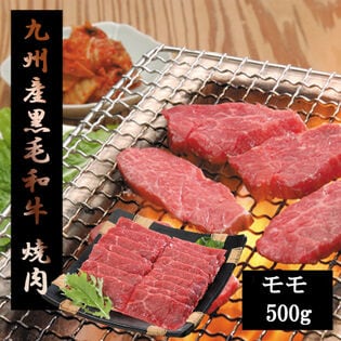 【500g】九州産黒毛和牛焼肉用