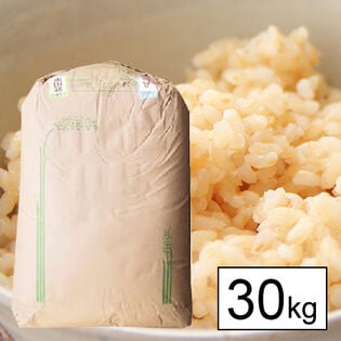 【30kg】令和5年産 日本名水100選 山梨県産 白州米 コシヒカリ 1等玄米