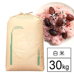 【30kg】国内産もち米  業務用 白米