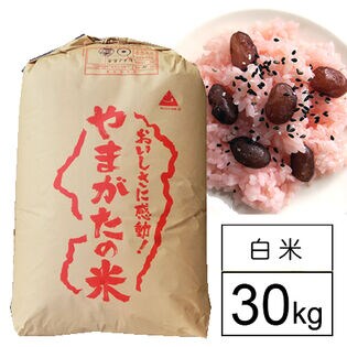 【30kg】令和5年産 もち米 山形県産 ヒメノモチ 白米