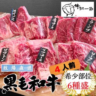 【4人前/6種計600g】【牧場直送】九州黒毛和牛希少部位食べ比べ