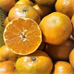 【約2.2kg】愛媛県産　農家さんもぐもぐ 甘平(かんぺい)(ご家庭用・傷あり)