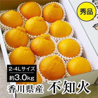 【約3.0kg(2L-4L)秀品】香川県産 不知火 デコポン 同品種 大きなサイズ