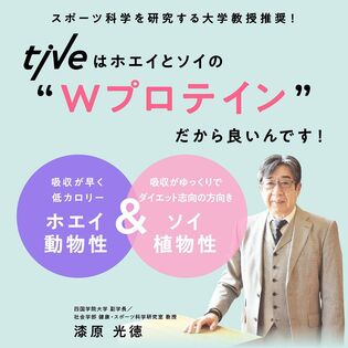tive ダークチョコレート 500 ホエイプロテイン ソイプロテイン（tive 