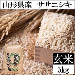 【5kg】令和5年産 山形県産 ササニシキ （玄米）