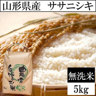 【5kg】令和5年産 山形県産 ササニシキ 無洗米 当日精米