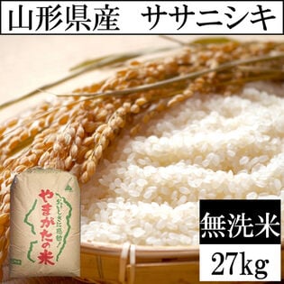 【27kg】令和5年産 山形県産 ササニシキ 無洗米  当日精米