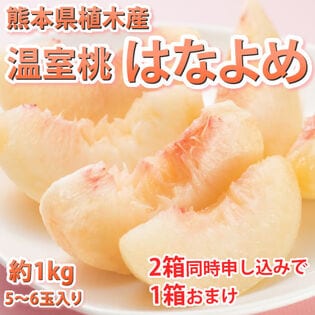 【予約受付】5/20~順次出荷【約1kg(5~6玉】熊本県産 秀品 温室桃 はなよめ