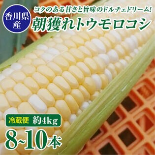 【約4kg(8~10本】香川県産とうもろこし 農家さんより朝獲れ直送！
