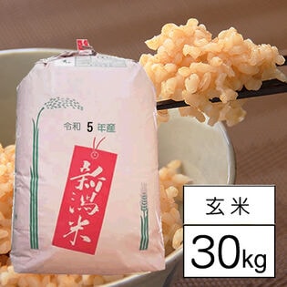 【30kg】 越後の米 令和5年産 新潟県産 つきあかり 2等 玄米