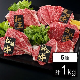 【計1kg】ブランド牛焼肉 5種セット「松阪牛」「神戸牛」「飛騨牛」「近江牛」「和王」