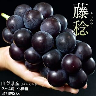 【約2kg/3〜4房 】藤稔（ふじみのり） 山梨県産ぶどう JAふえふき