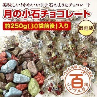 【初回限定】＜シンプル百科＞【約250g(30袋前後)】小石チョコ 見た目はまさに小石！