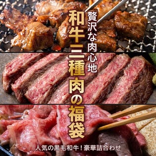 【計1.1kg】黒毛和牛三種の肉福袋