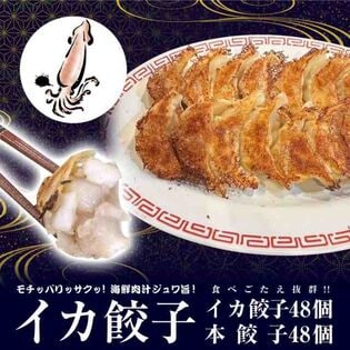 【2種/96個】美食点心ぎょうざ館　イカ餃子48個（ニンニク無し）/本餃子48個