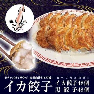 【2種/96個】美食点心ぎょうざ館　イカ餃子48個（ニンニク無し）/黒餃子48個