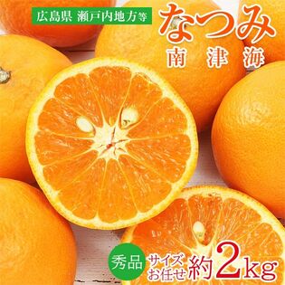【約2kg】なつみ（南津海） 秀品