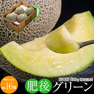 【約8kg(4~5玉)/2~4Lサイズ】熊本県産 肥後グリーン