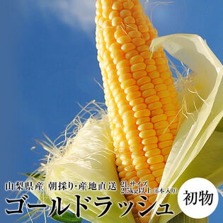 【2.5kg以上(6本入り)】《初物》山梨県産とうもろこし『ゴールドラッシュ』