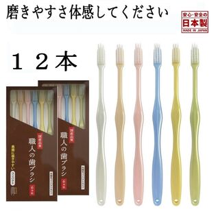 【12本】職人の歯ブラシ 先細 コンパクトヘッド 歯の隅々まで磨ける 日本製 6本組x2箱