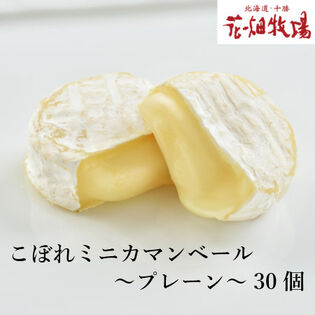【計750g(約30個)】花畑牧場 こぼれミニカマンベール（プレーン）※形状不良品 250g×3袋