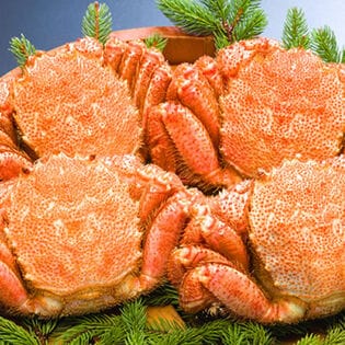 【計約1.6kg/400g前後×4尾】北海道オホーツク海産 ボイル 毛がに