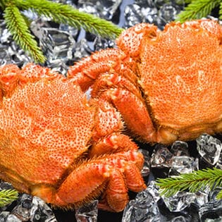 【計約1kg/500g前後×2尾】北海道オホーツク海産 ボイル 毛がに