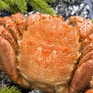 【660g前後×1尾】北海道オホーツク海産 ボイル 毛がに
