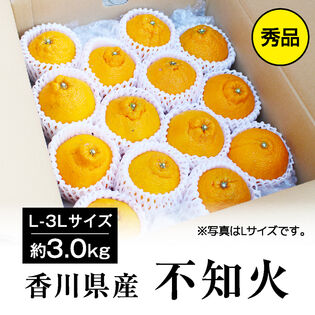 【クール便 約3.0kg(L-3L)秀品】 香川県産 不知火 (デコポン・デコみかんと同品種)