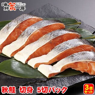 【5切×3パック】北海道網走加工 秋鮭切り身