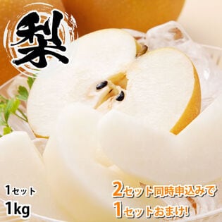 【1kg】九州産 梨《個数・品種おまかせ》(ご家庭用)
