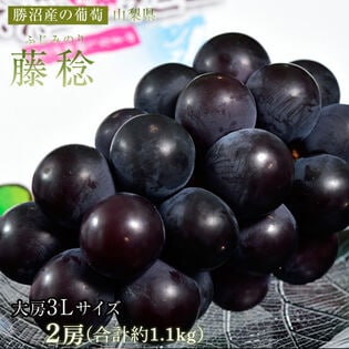 【予約受付】8/18~順次出荷【計約1.1kg/3Lサイズ×2房】藤稔(ふじみのり)山梨県産ぶどう