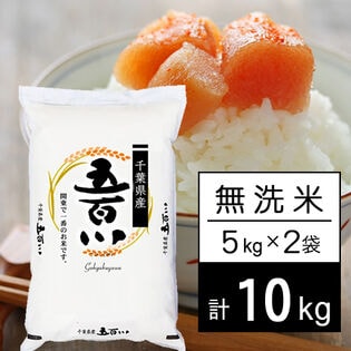 【計10kg/5kg×2袋】新米 令和7年産 千葉県産 五百川 無洗米