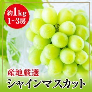 【約1kg(1-3房)】産地厳選シャインマスカット