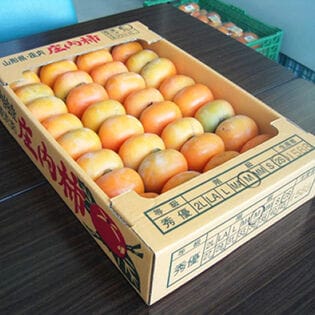 【予約商品】10/15~順次出荷【約5kg(玉数おまかせ)】山形県庄内産庄内柿(ご家庭用)