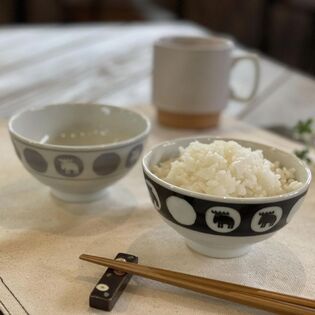 moz 美濃焼 お茶碗ペアセット