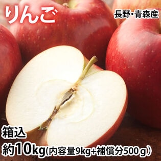 【箱込約10kg】りんご《個数・品種おまかせ》