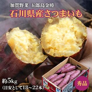 【約5kg(目安として18~22本)】《秀品》石川県産加賀野菜 五郎島金時 さつまいも